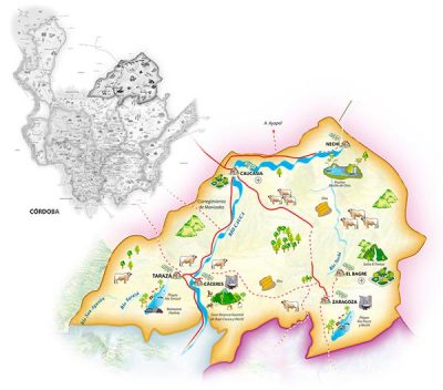 bajo cauca