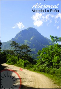 abejorral 4