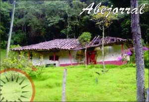 casa vieja