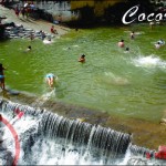 cocorna 6