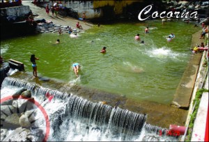 cocorna 6