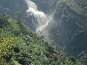 rio aures