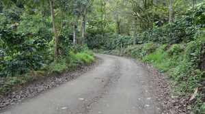vias sonson
