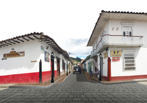 SEMIPEATONALIZACIÓN El Retiro