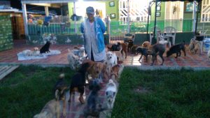 img_20160904_181946806