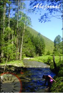 abejorral-3