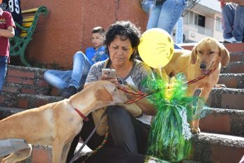 Foto: Contexto