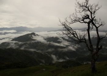 Imagen: Archivo