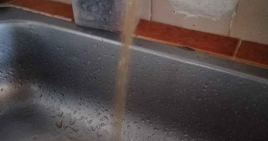 Foto: Cortesía
