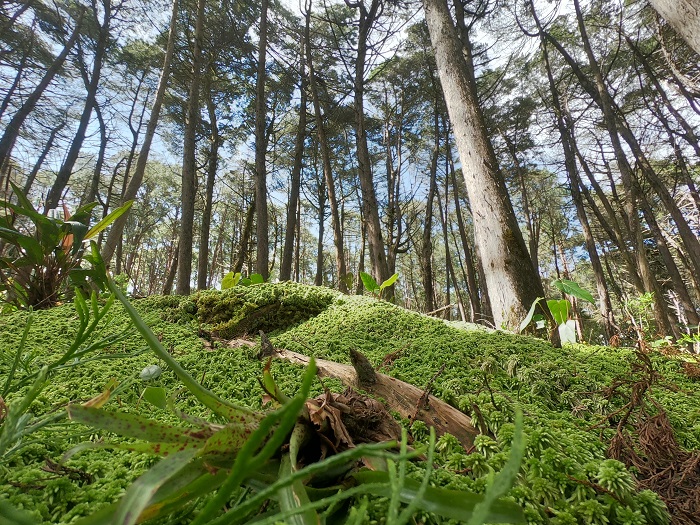 DCIM100GOPROGOPR3381.JPG