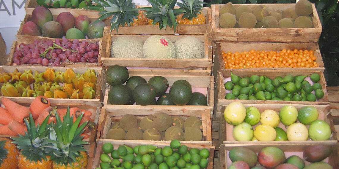 Foto: Gobernación de Antioquia