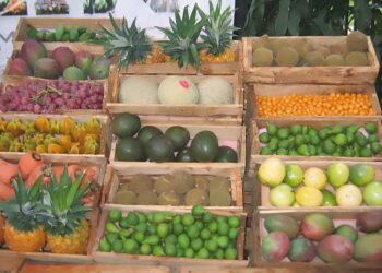 Foto: Gobernación de Antioquia